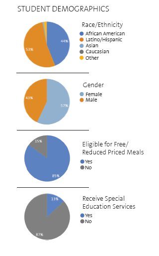 Figure 2: KIPP Academy New York (South Bronx) Student Demographics
