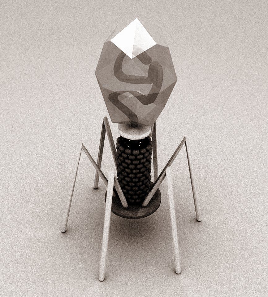 3D Model of T4 Bacteriophage