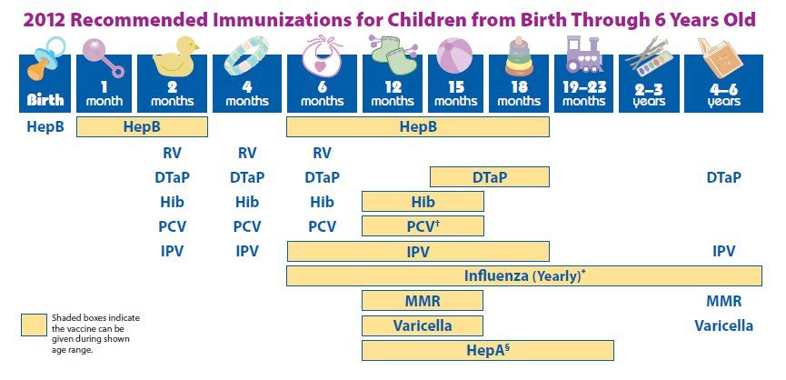 CDC 2012 Vaccine Schedule Closeup